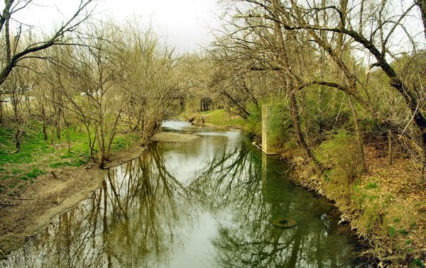 A calm creek lined with bare trees reflecting the sky