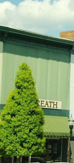 Two-story storefront with green metal siding over the upper floor, a green striped awning and a sign ending in REATH partly hidden by a small tree, College St. E., 2015