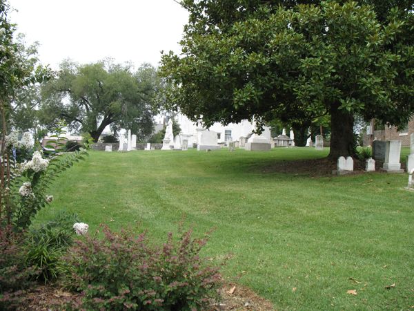 Old white headstones and monuments on a mowed lawn under a large magnolia and other big trees