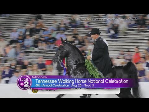Video thumbnail: Tennessee Walking Horse National Celebration