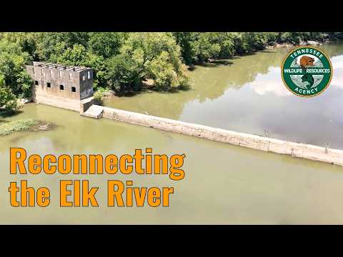Video thumbnail: Reconnecting the Elk River: Harms Mill Dam Removal